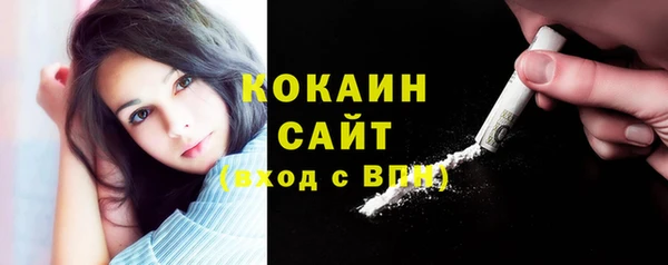тгк Алексин