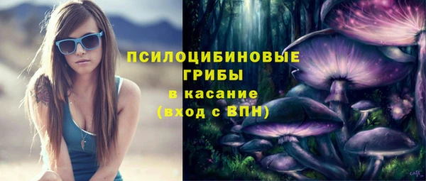 тгк Алексин