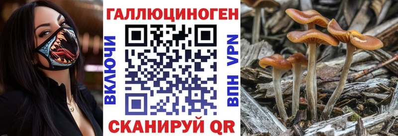 Псилоцибиновые грибы мицелий  дарнет шоп  Хвалынск 